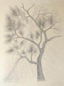Tegning af Lene Elsner